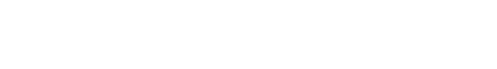 Nettiticket logo.